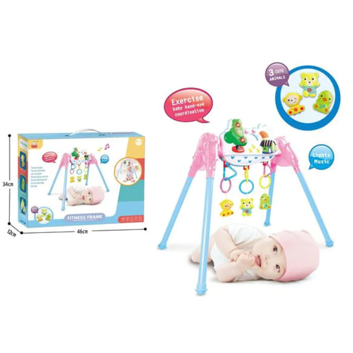 Baby Play Gym